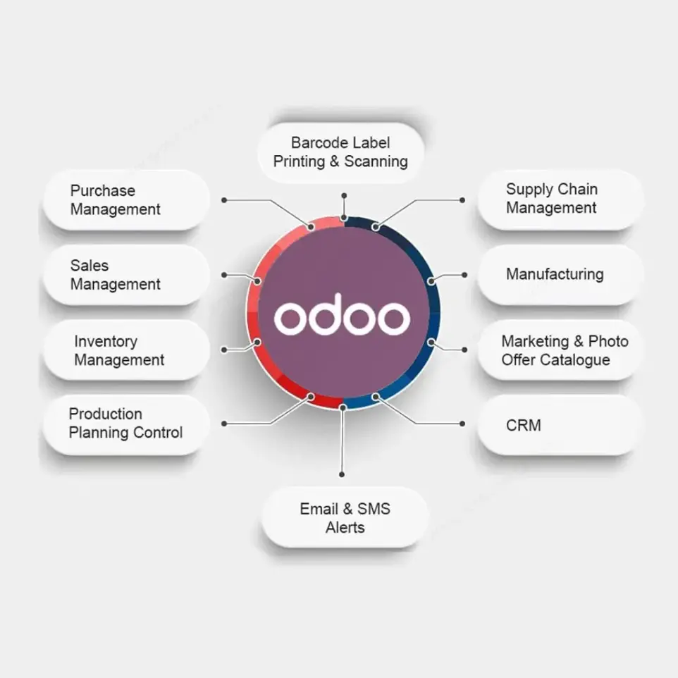 Benefits Cloud Odoo ERP Migration