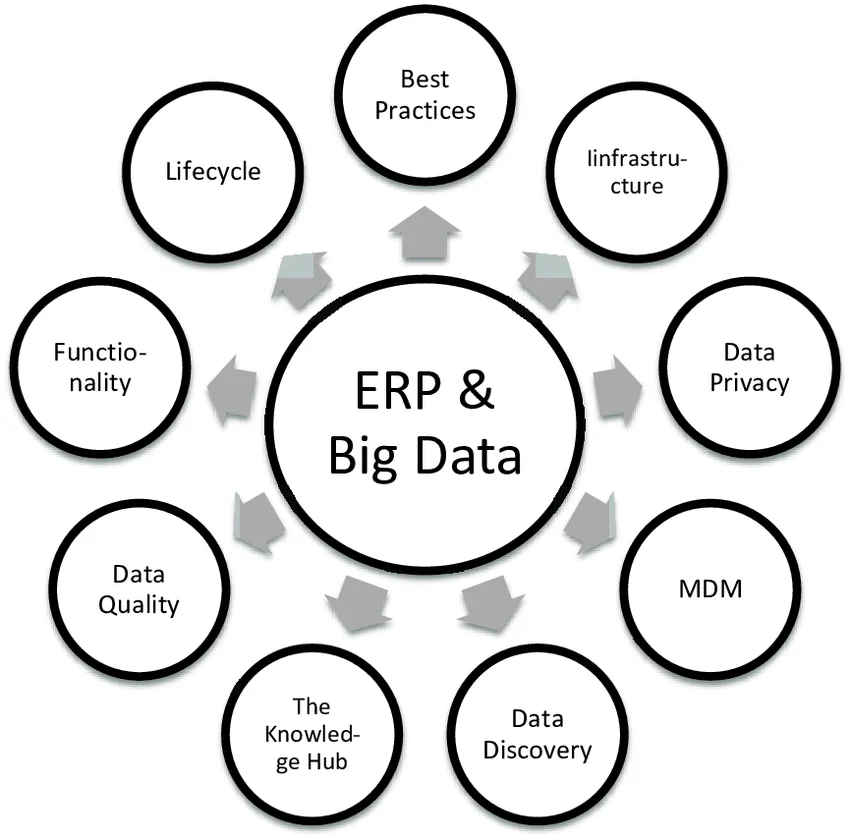 ERP Data Migration
